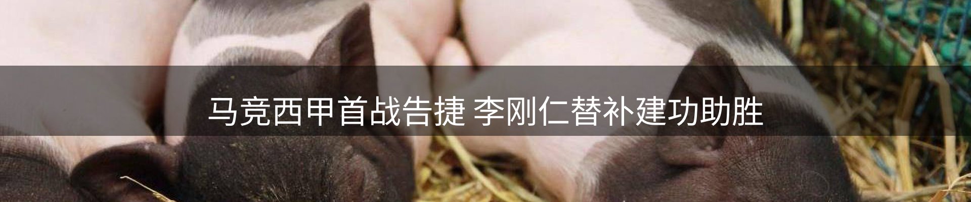 综合资讯